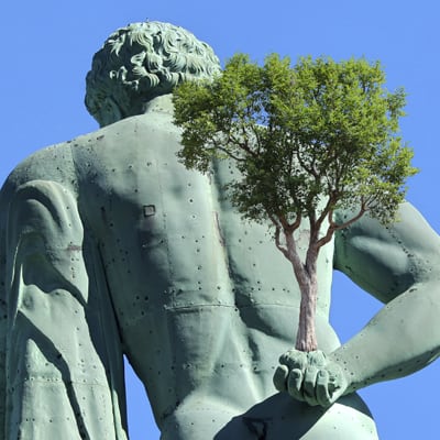 Projekt: ein Baum ist mein Baum